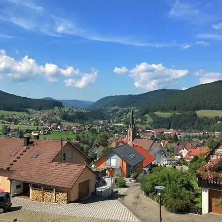 Panoramic View In With Garden *